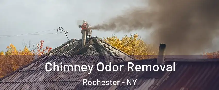  Chimney Odor Removal Rochester - NY