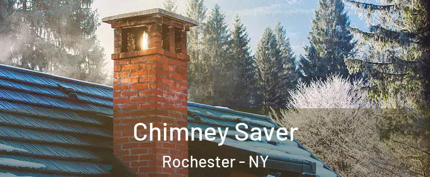  Chimney Saver Rochester - NY