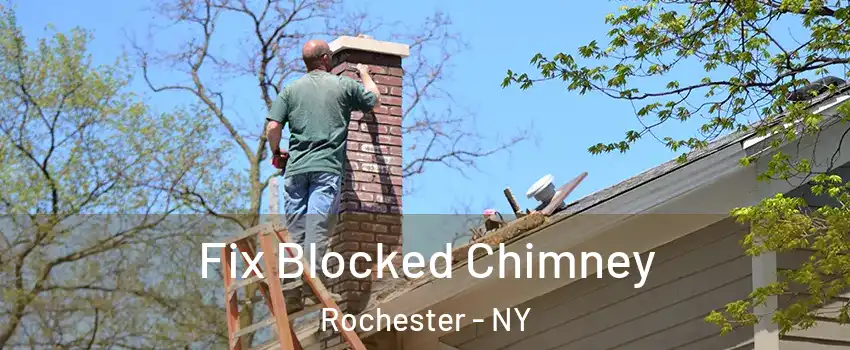 Fix Blocked Chimney Rochester - NY